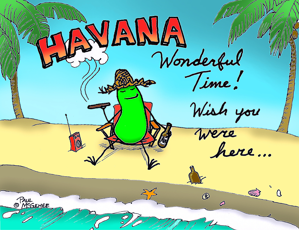 Havana Wonderful Time